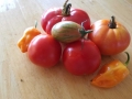 tomato-habanero