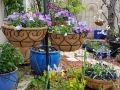 hanging-baskets