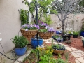 hanging-baskets