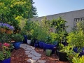 garden-path