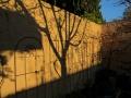spring-shadows