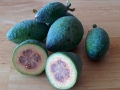 feijoa