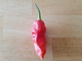 ghost-pepper