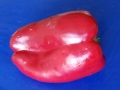 red-bell-pepper
