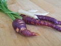carrots2018