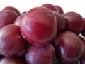 plums-closeup