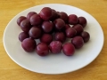 plumsplate