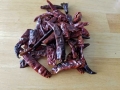 chii-de-arbol