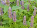 20180712_090356