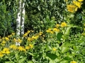 20180712_090456