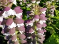 20180712_091204