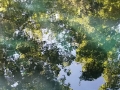 20180712_091555
