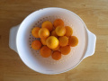 Bearss Limes after picking
