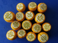 Bearss Limes: trimmed and quartered