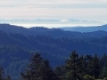 monterey-bay