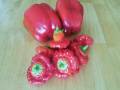 scotch-bonnet-peppers