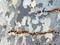 20210205_111113-crop
