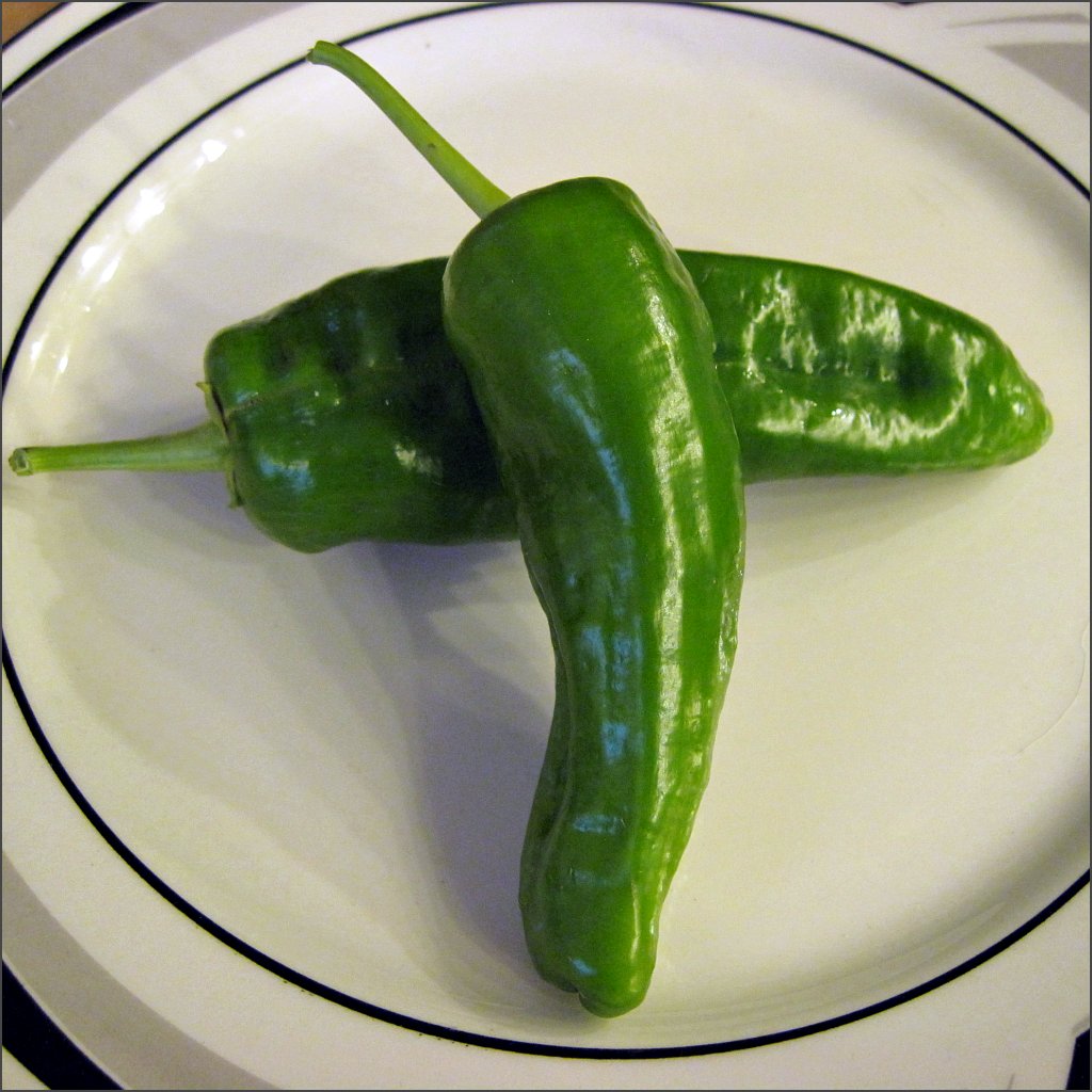 Chile – Anaheim – Sunnyvale-Garden