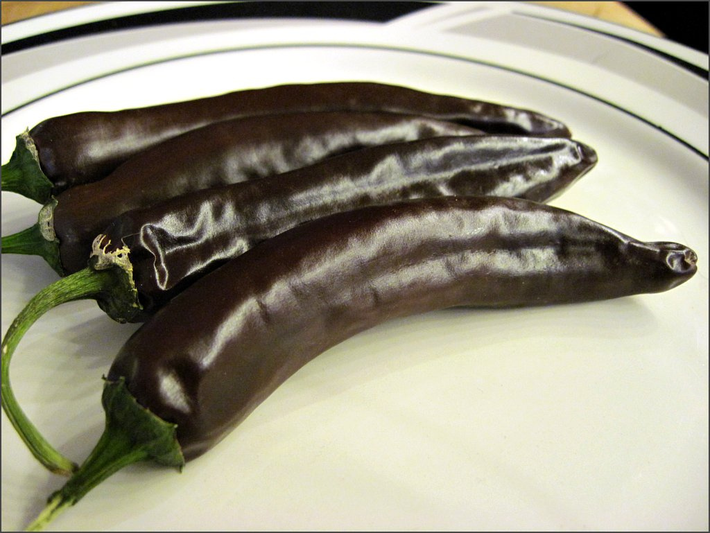 Chile Ethiopian Berbere SunnyvaleGarden