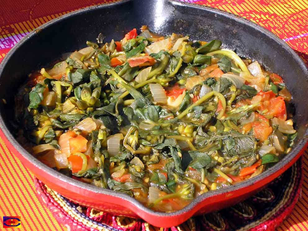 Verdolagas Recipes Bryont Blog 