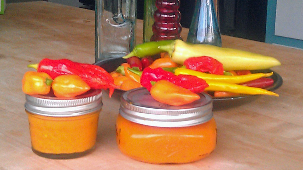 Habanero Carrot Hot sauce – Sunnyvale-Garden