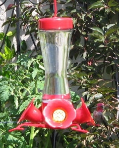 hummingbird_feeder1