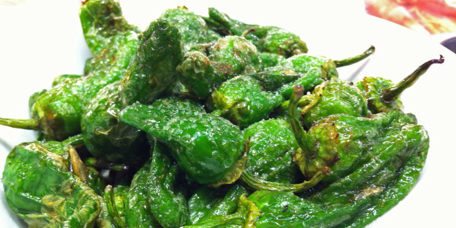 padron pepper, chile