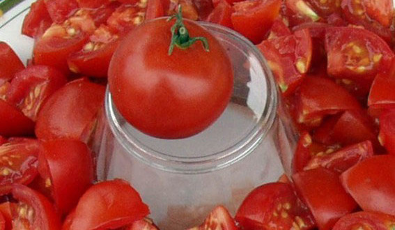 alaska tomato
