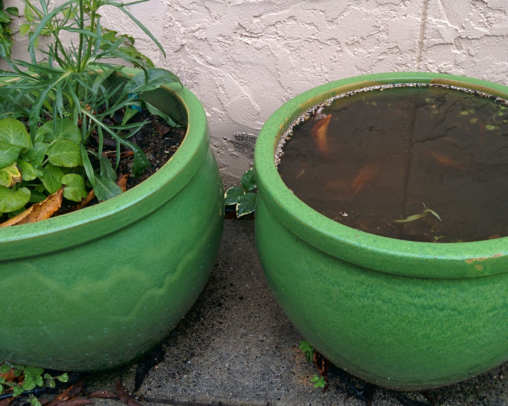 Drainage for Pots SunnyvaleGarden