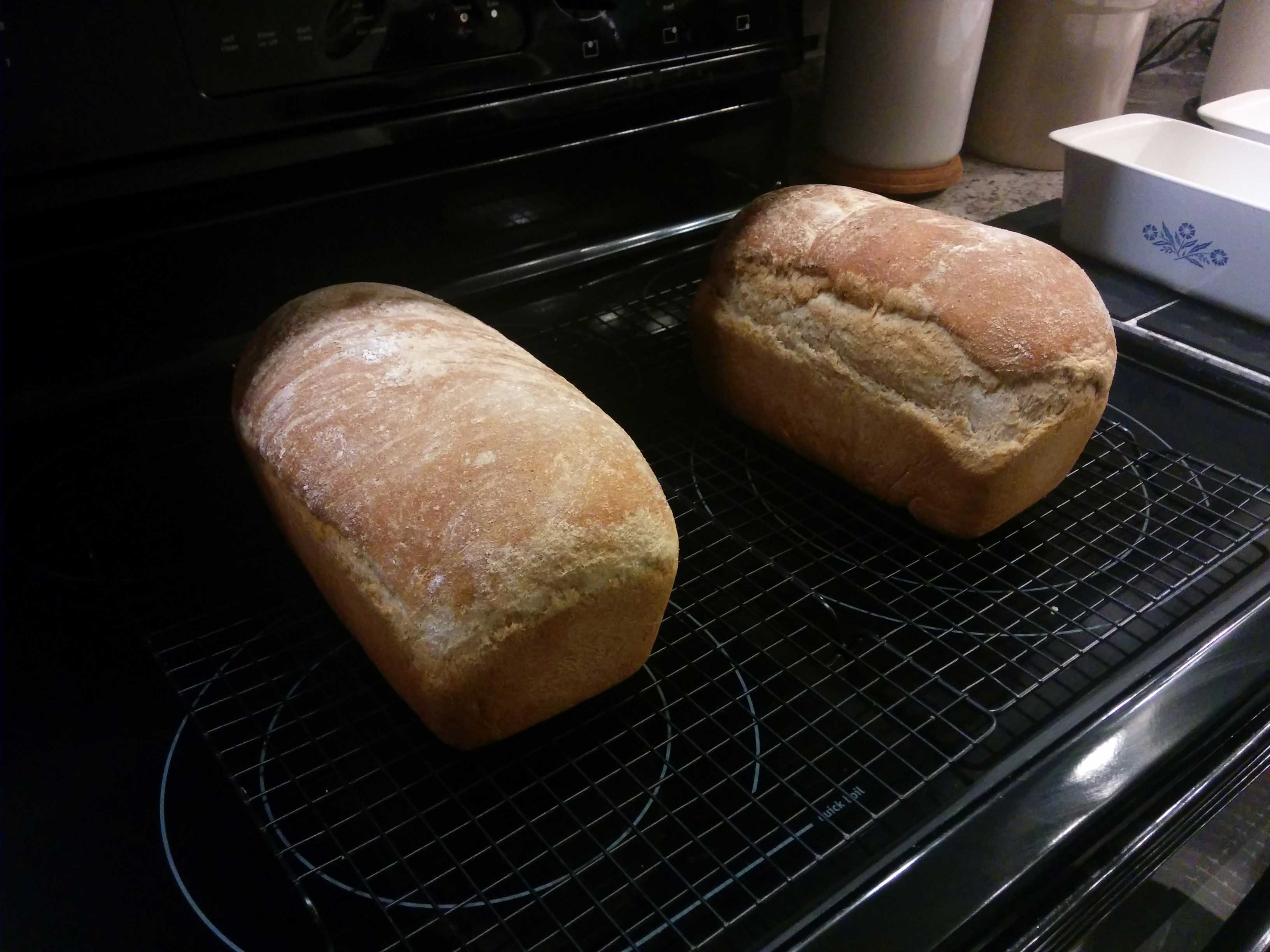 Honey Whole Wheat Bread – Sunnyvale-Garden