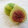 panache fig sliced